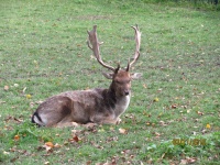 IMG_7609.jpg, 34kB